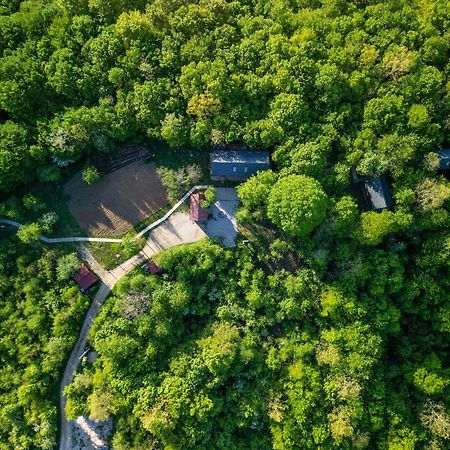 Tree Elements Treehouse Retreat Apartment Slunj Exterior foto